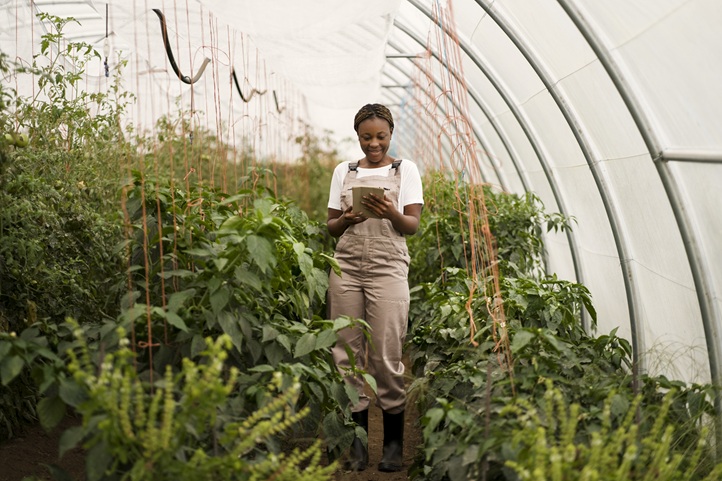 Farm Establishment